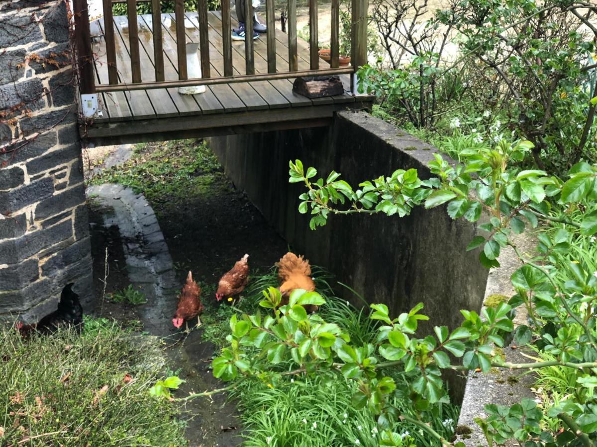 Alojamento de Acomodação e Pequeno-almoço D'hôtes Manoir Ker-huella